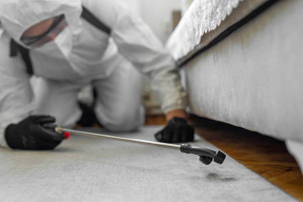 Professional Bed Bug Control technician working in Bangs, TX