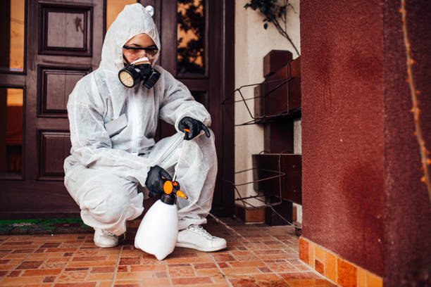 Reliable Bed Bug Control contractor in Bangs, TX by Nex Pest Control